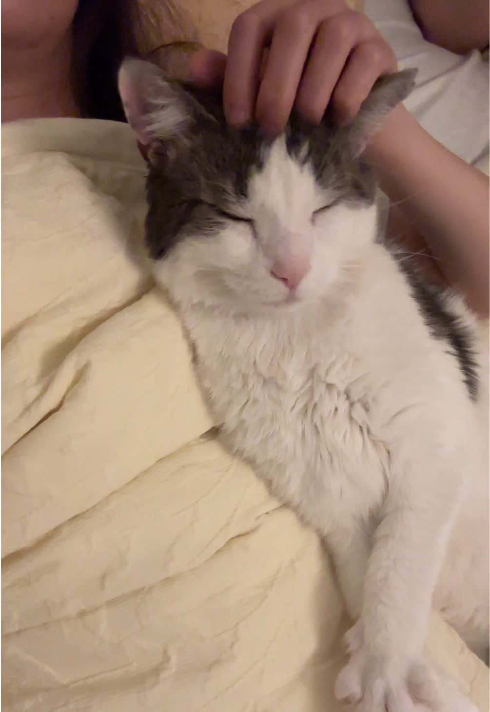 @Mimi Wawa Meow