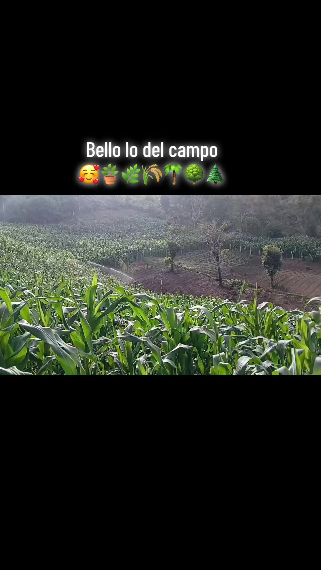 @elder.ventura4