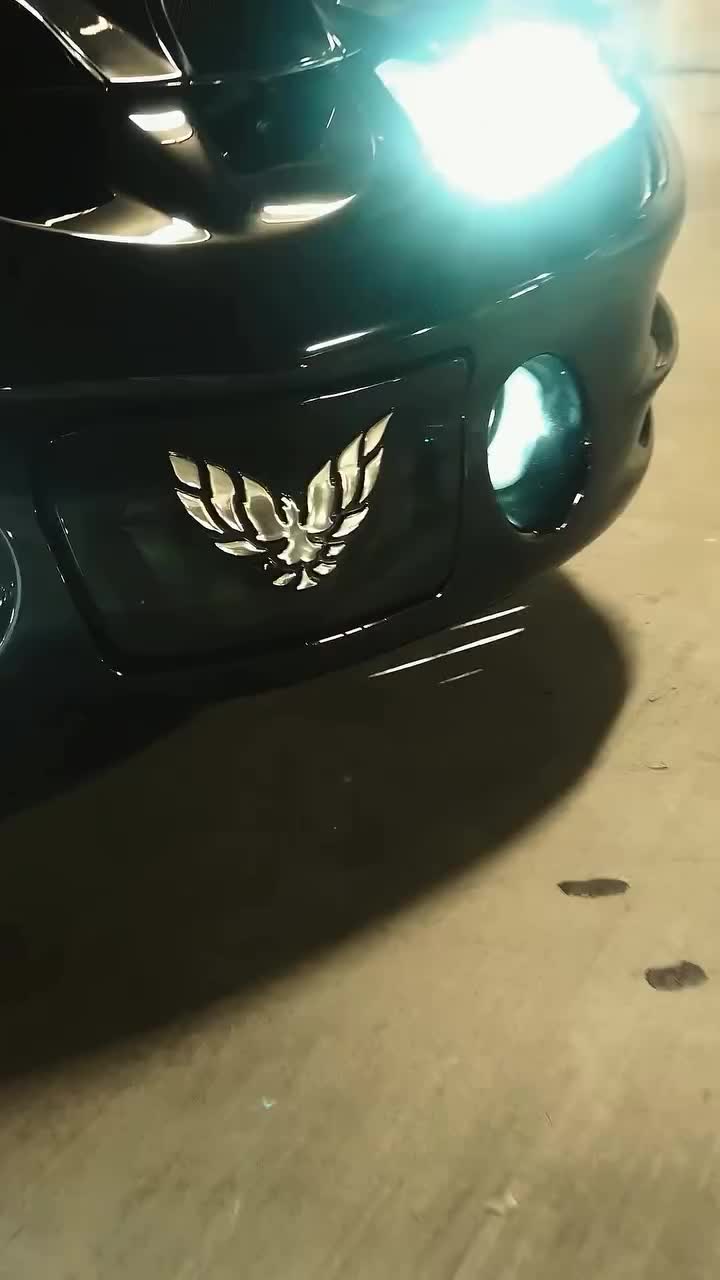 @SOCAL FBODYS