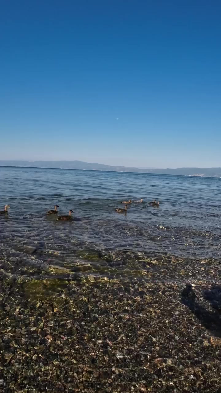 @Марга