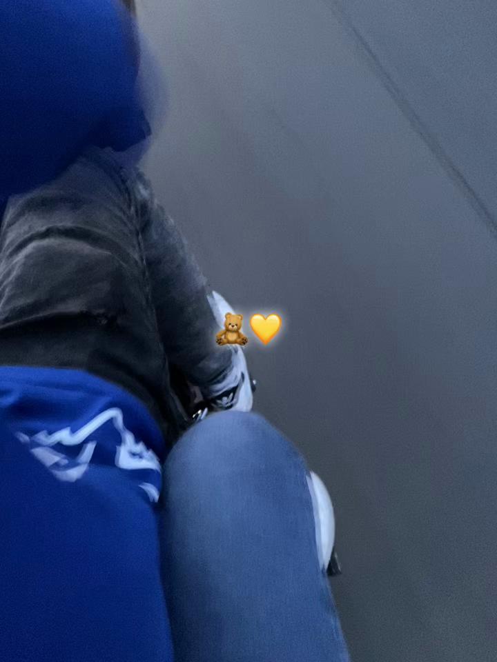 @peluchefox🧸
