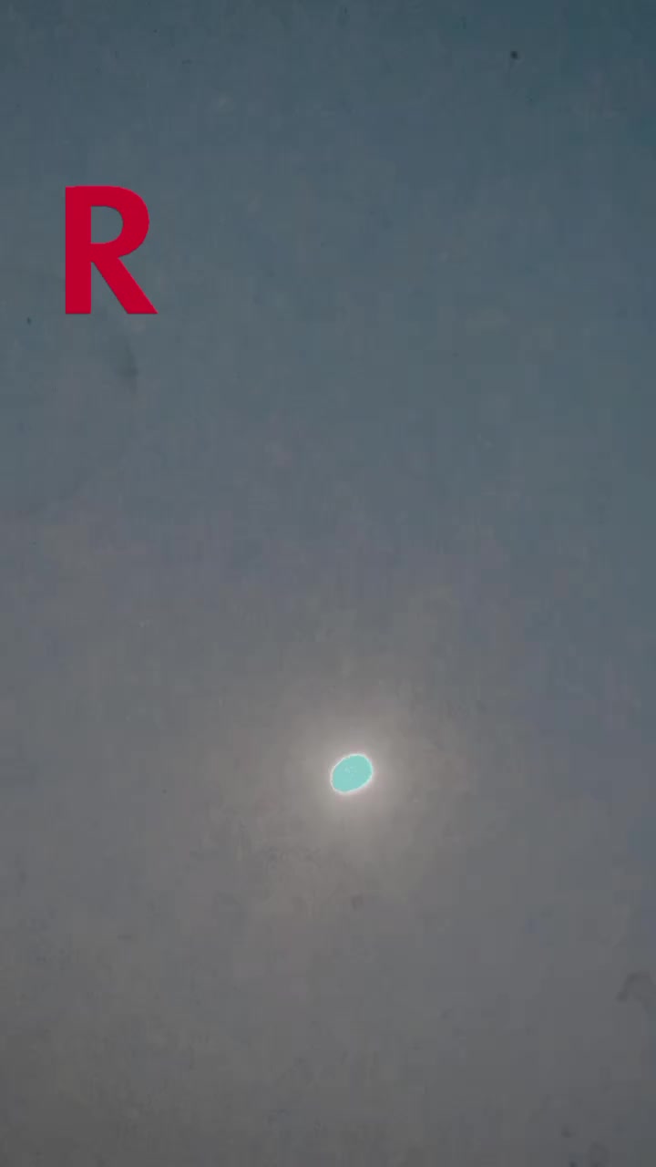 @shahzadi