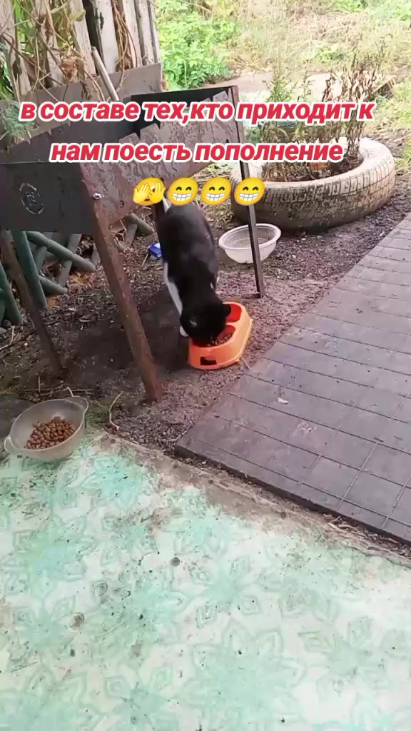 @Светка_Я
