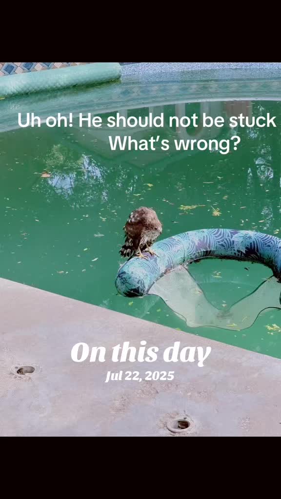 @Drjessicafusch