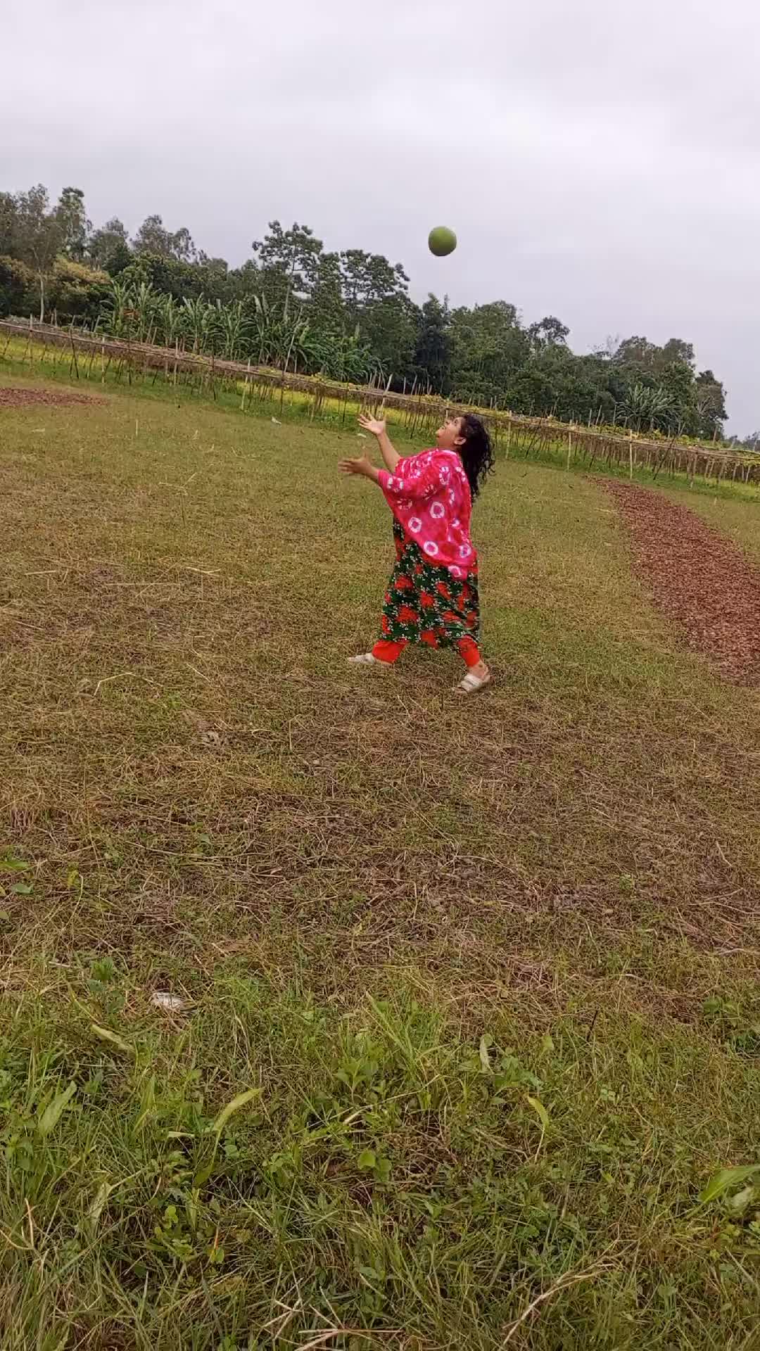 @hena