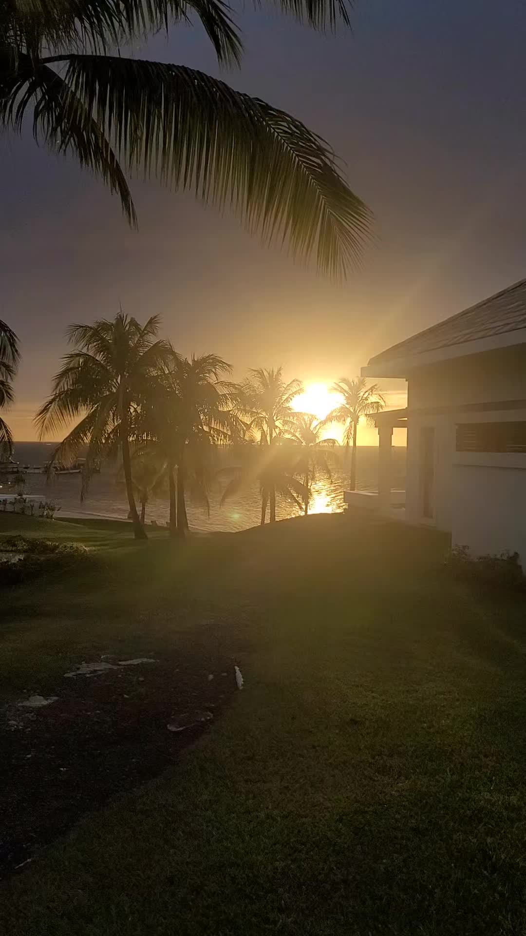 @yulissaamor+504😘🥰