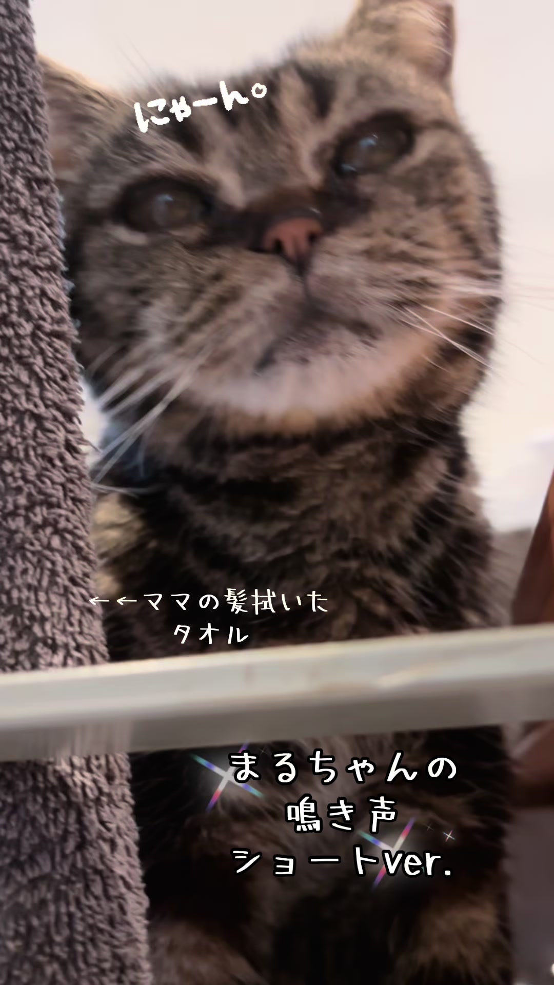 @ãµãã»ãºð∞ðç«å¥œã