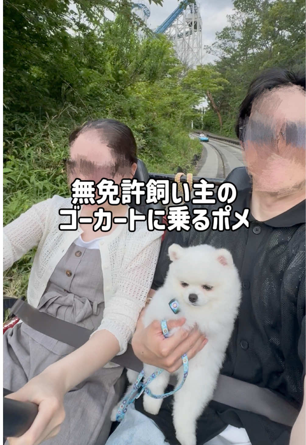 @ポメラニアンのミル🍼