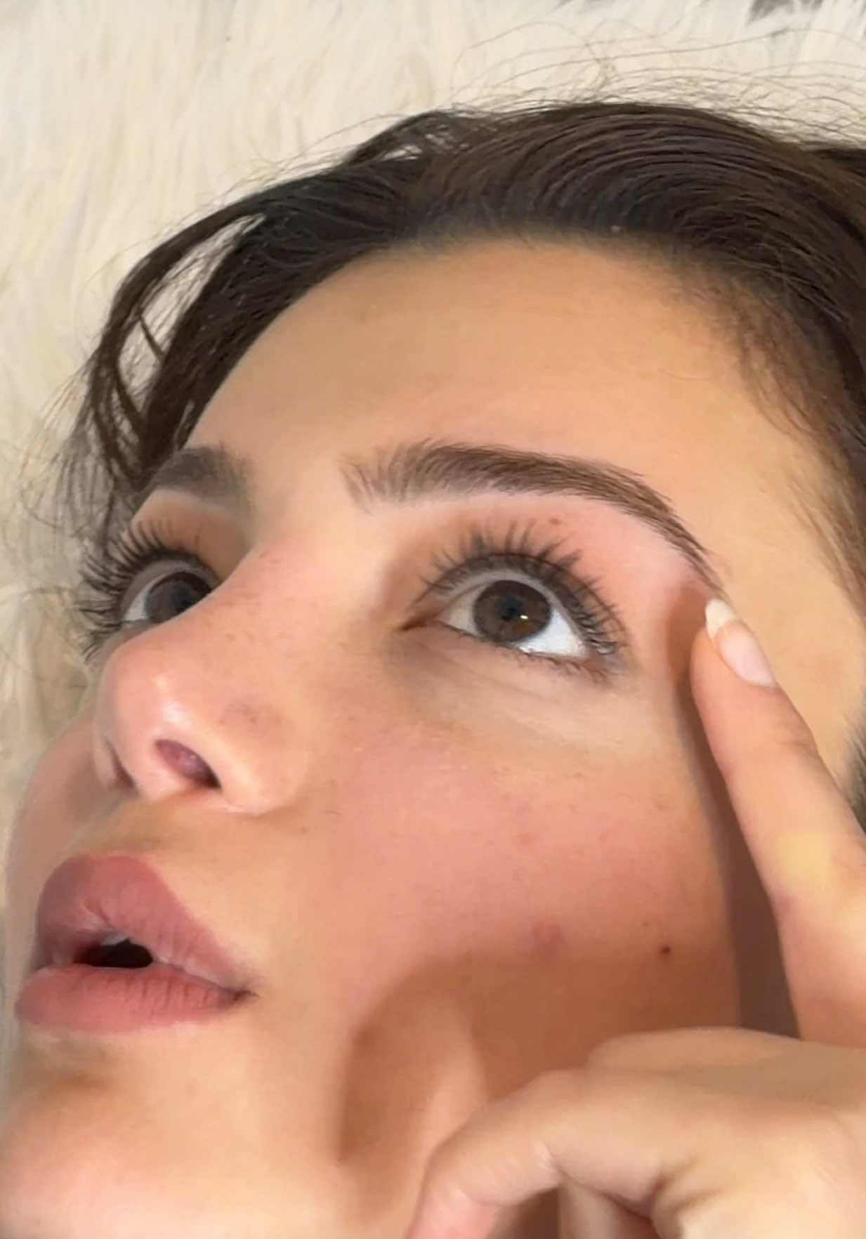 @shabnambrowsllc
