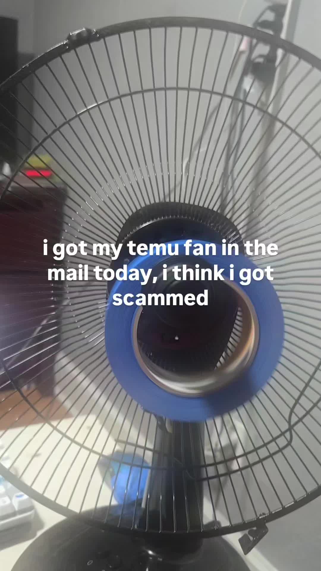 @🌴