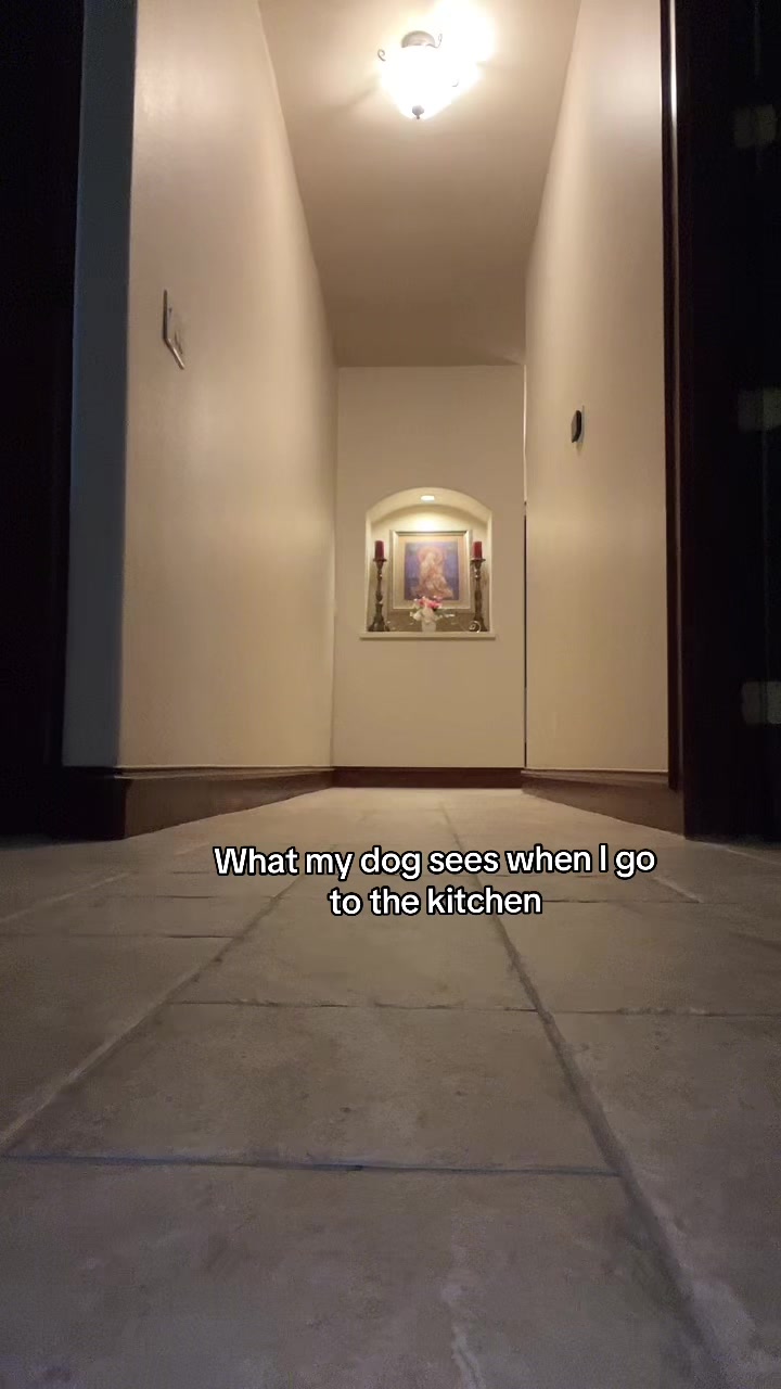 @Gabriella