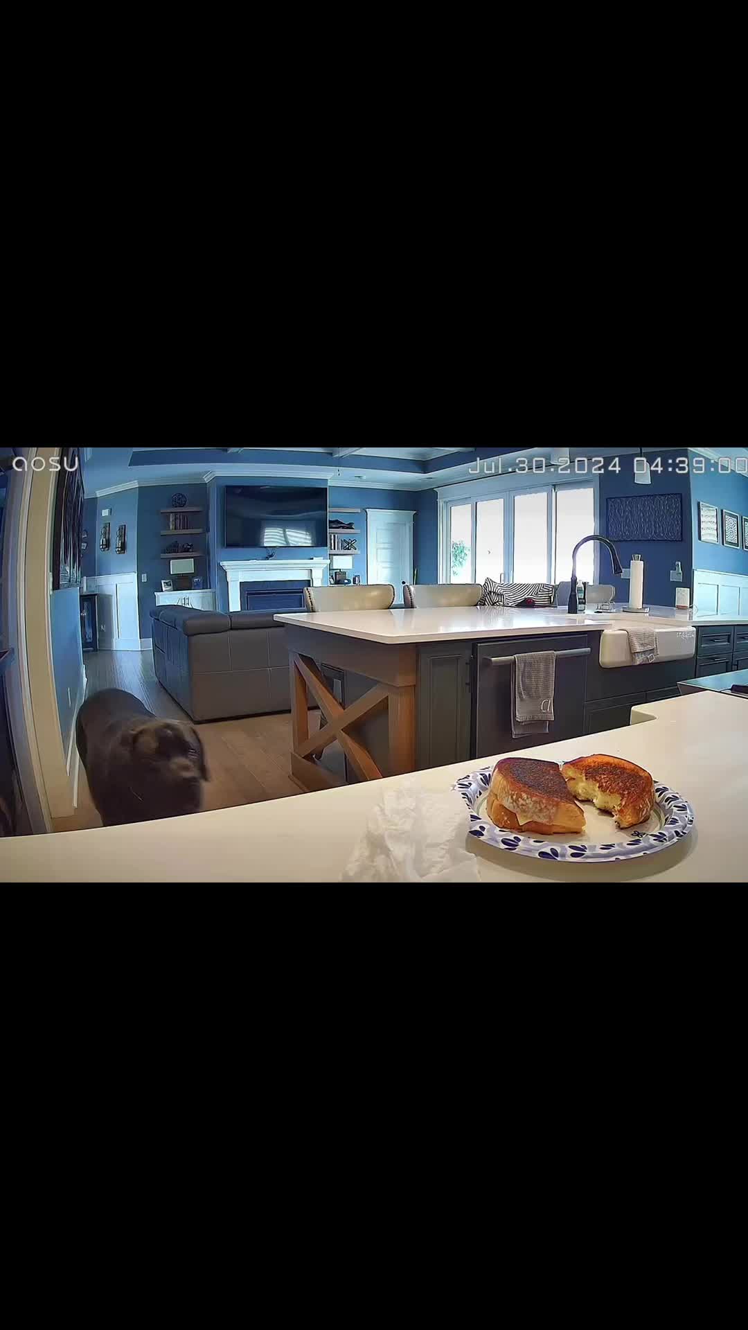 @HankTheTank