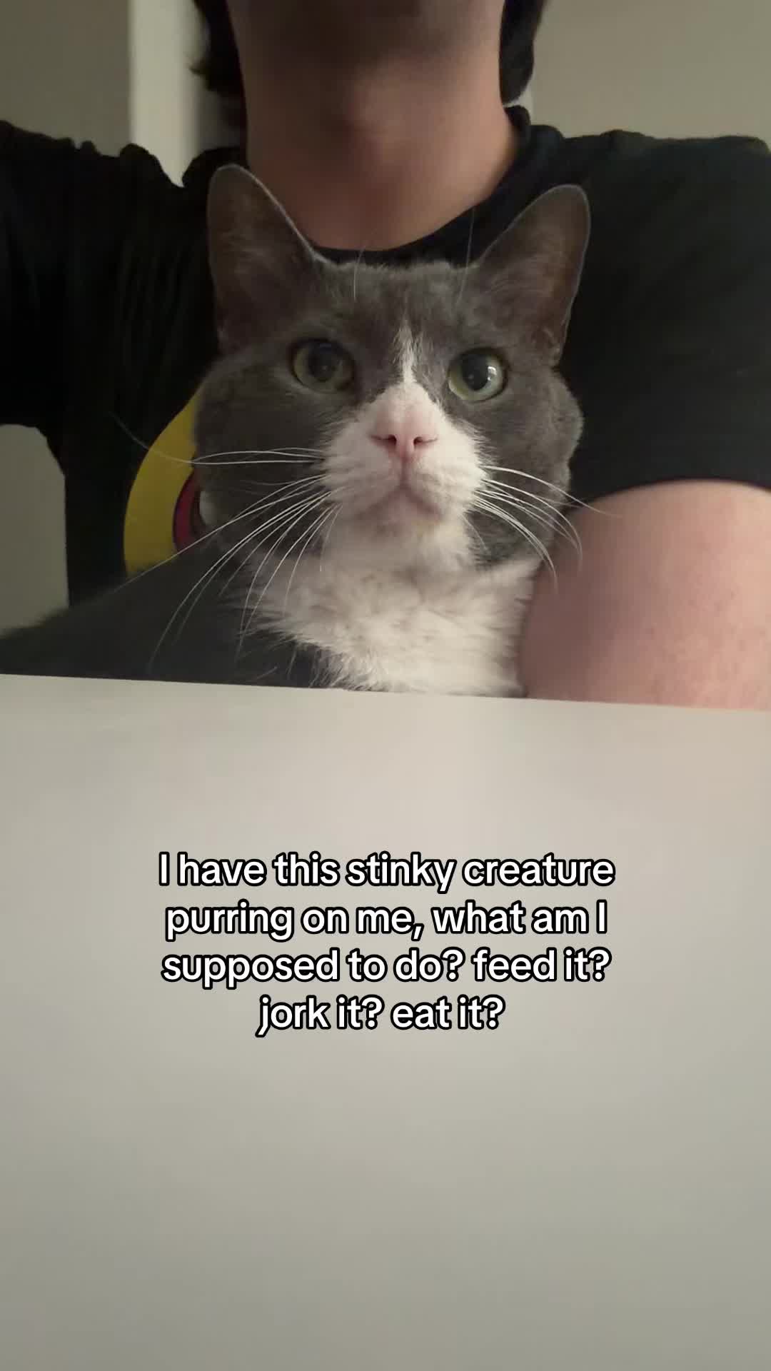 @stinkwalker
