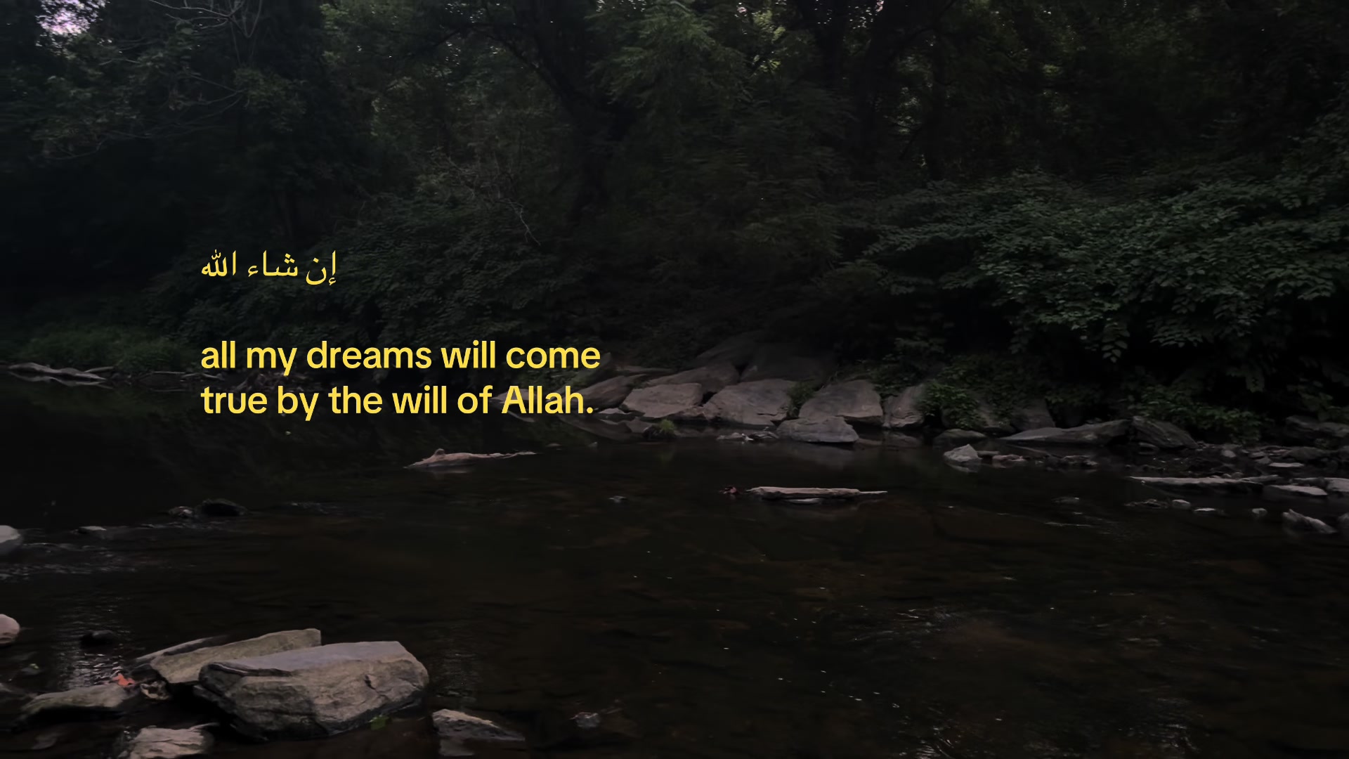 @gamal