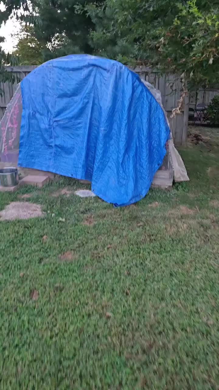 @ActiveMommy