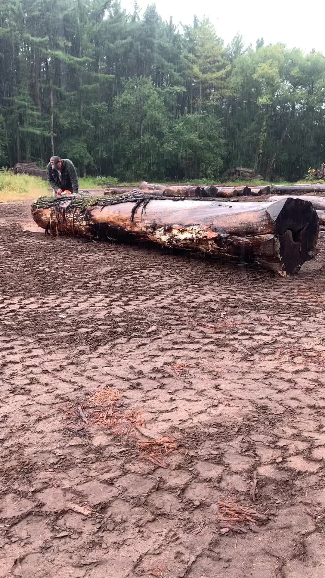 @lonestarsilverspur