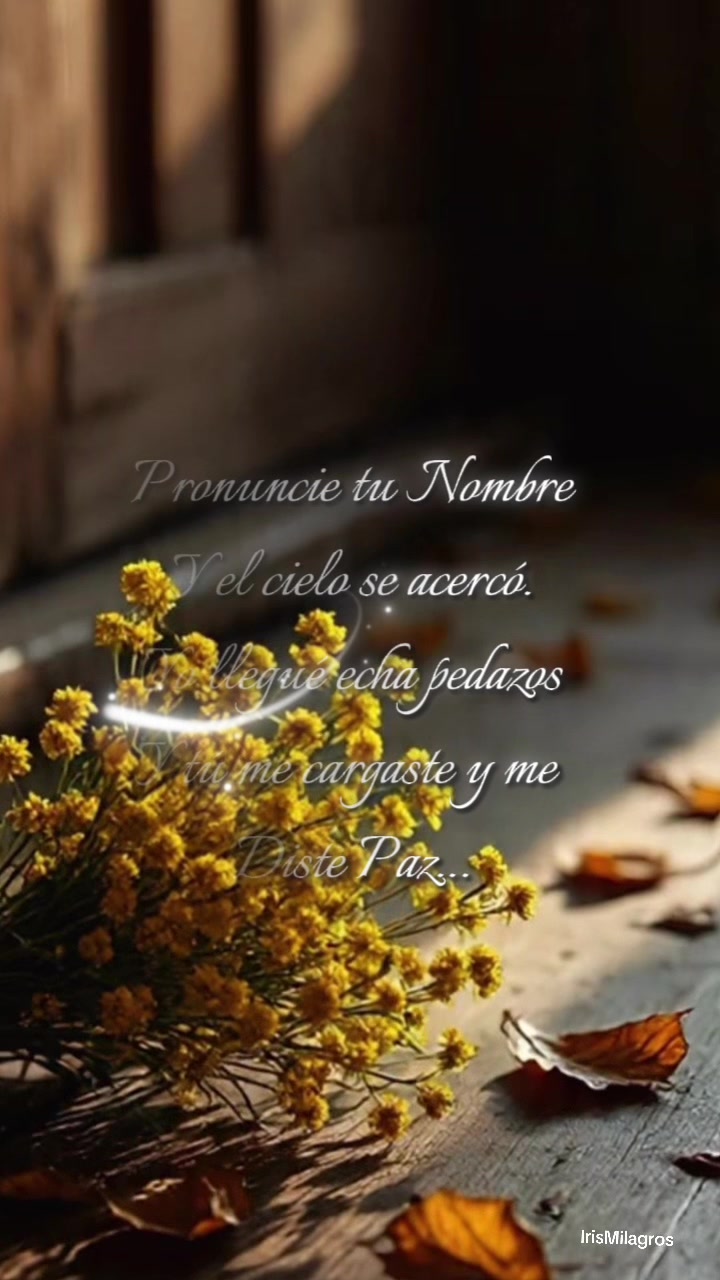 @IrisMilagros 🌼🌸