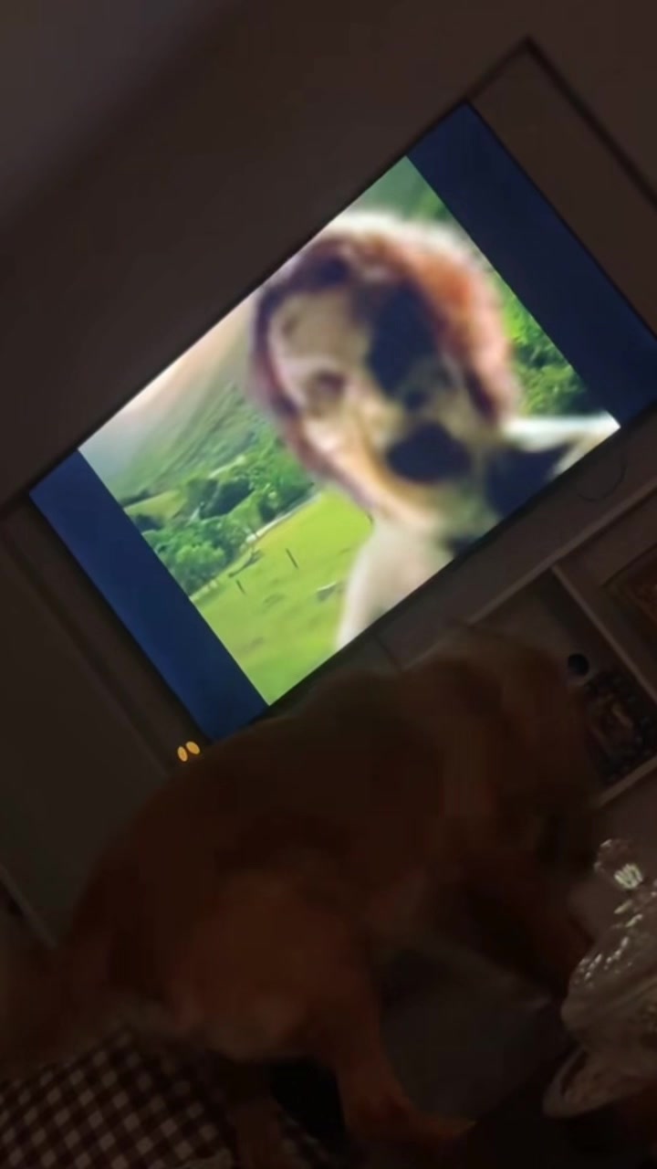 @Fluffy Fails