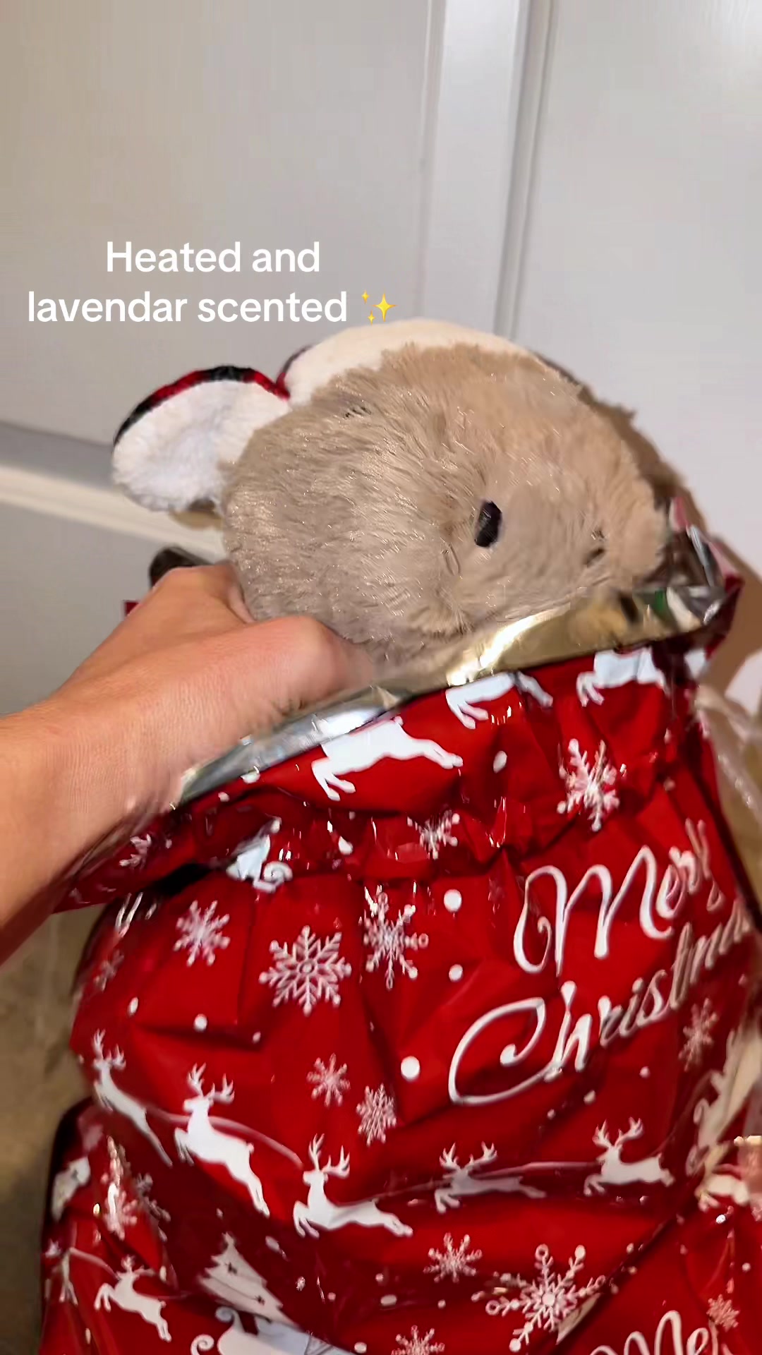 @mjvanicek