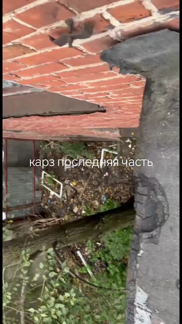 @⚠️KemStalker🪛