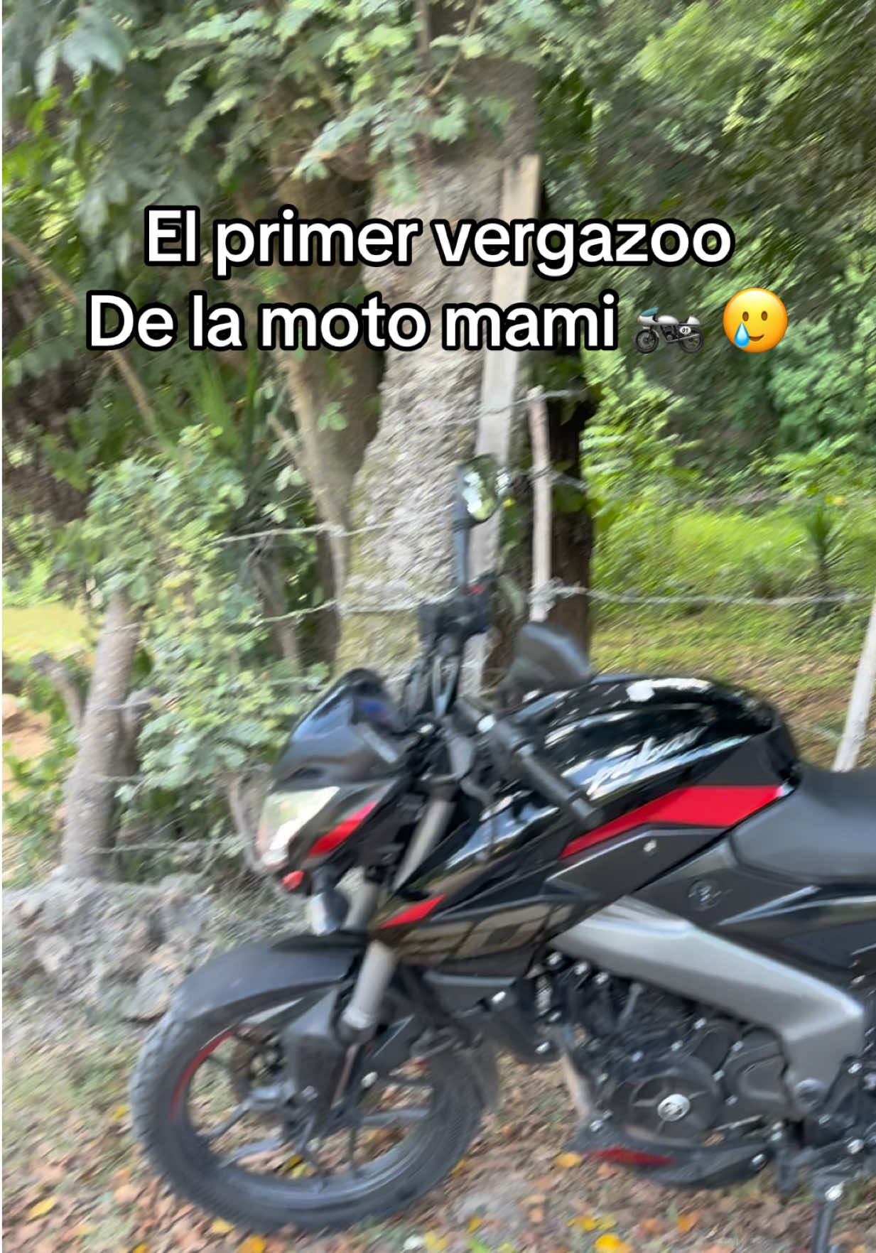 @Soy_Nesh.Canela