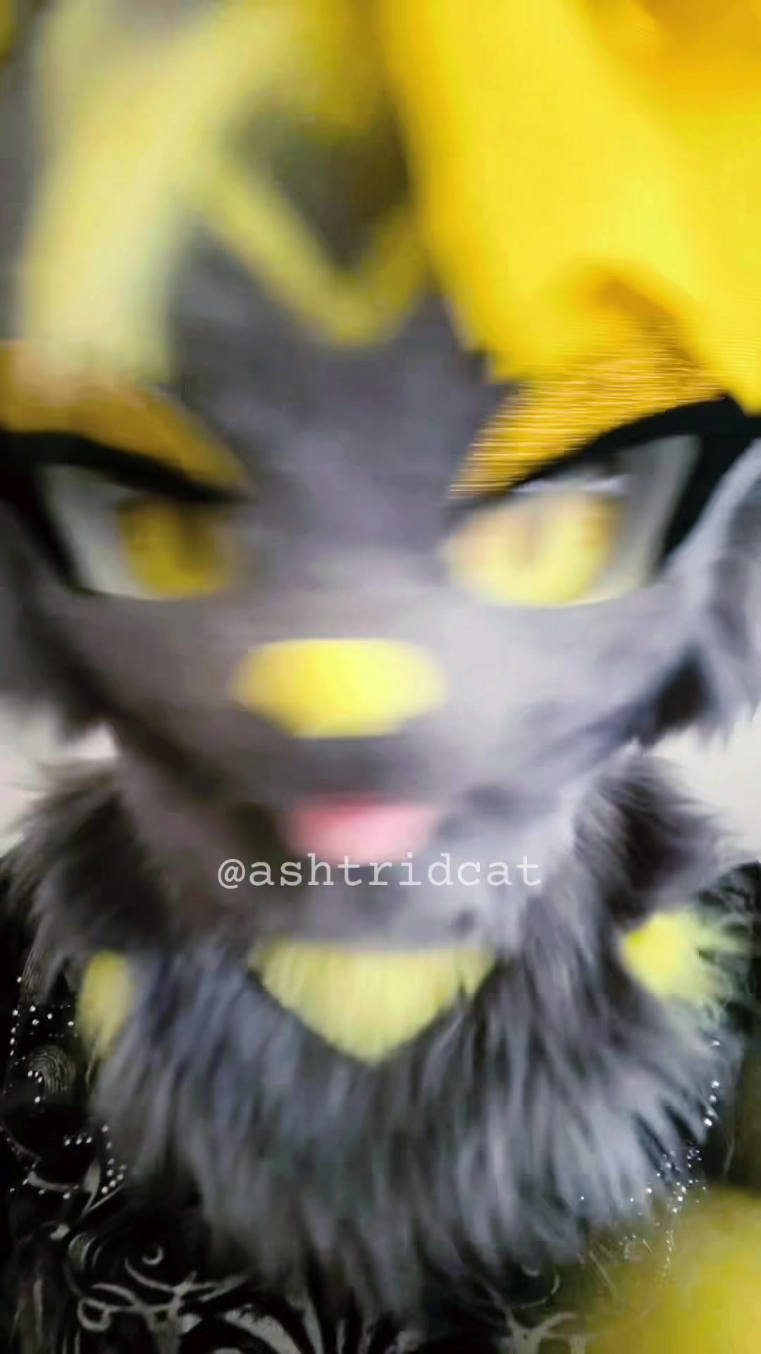 @AshtridCat