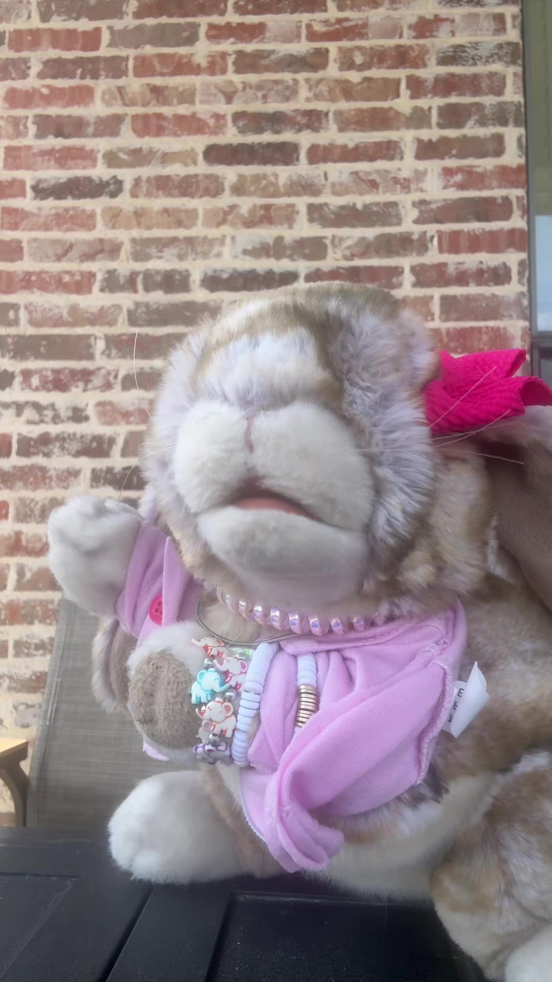 @rabbitdaisymae