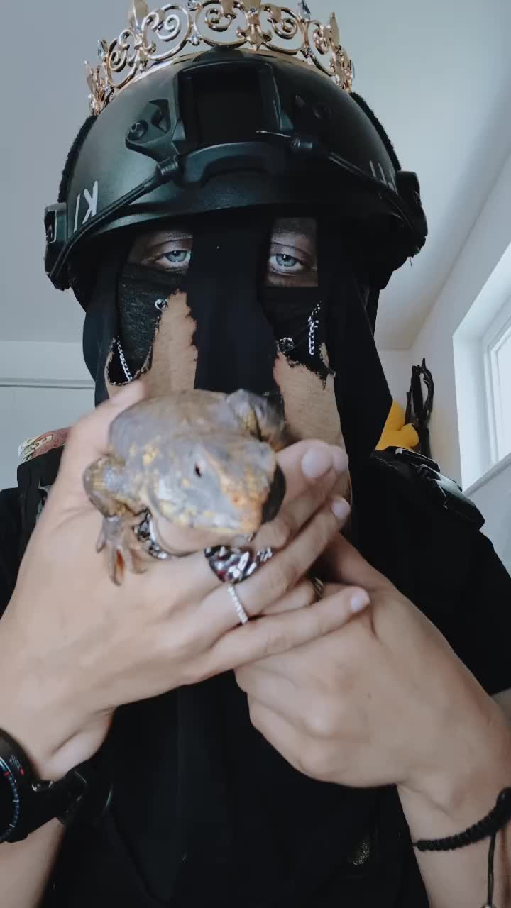 @KingKönig