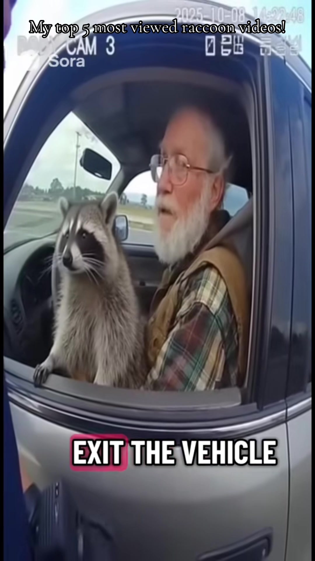 @WR funny animal videos