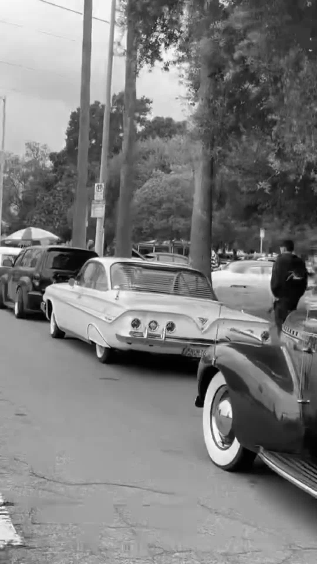 @PACHUCO_FAMILIA1