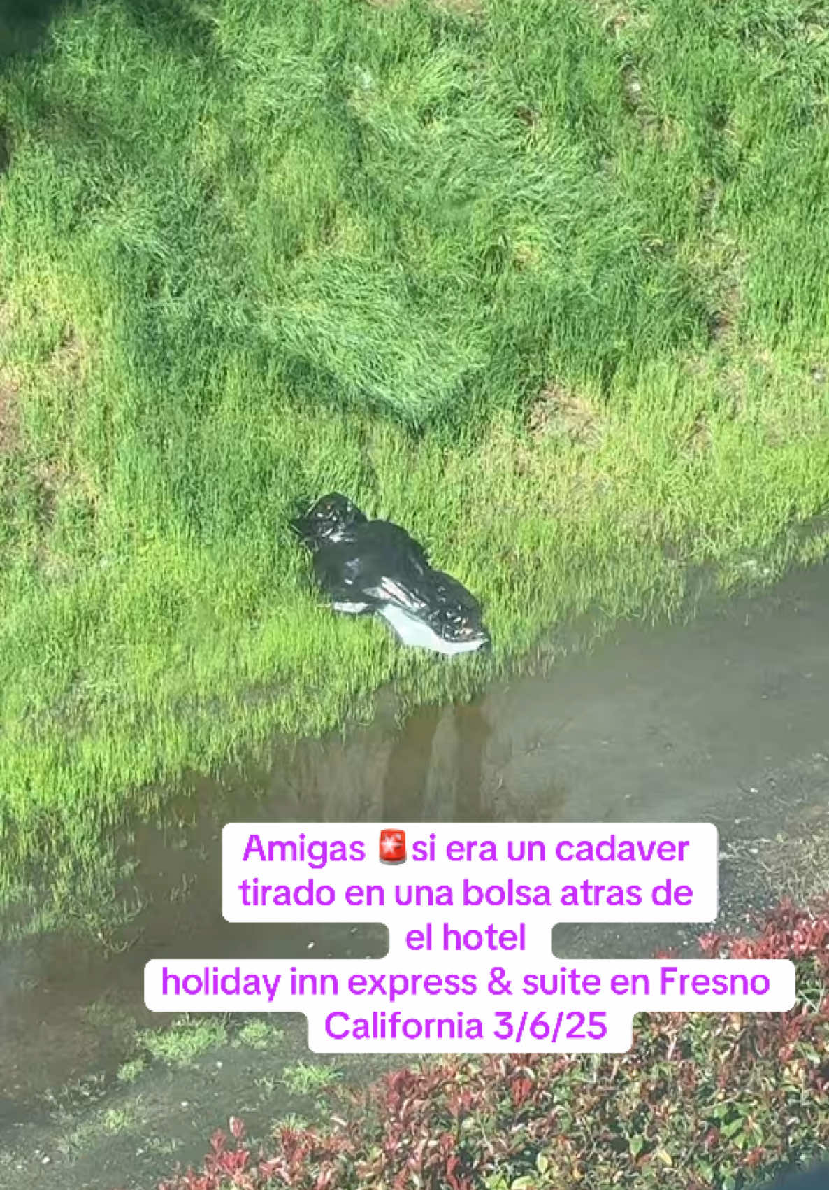 @Wendyturcios333