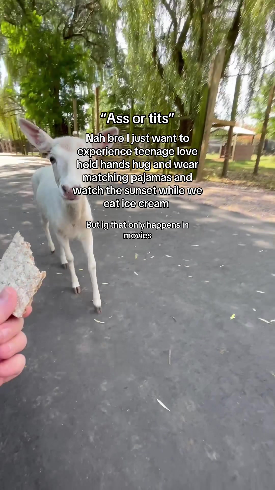 @Daniel🎣🦌🇺🇸