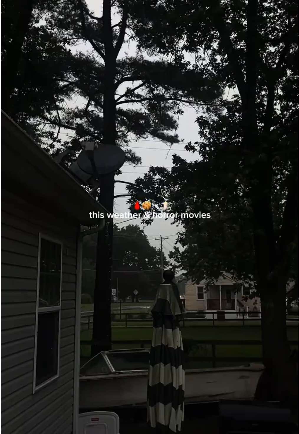 @jaylynn