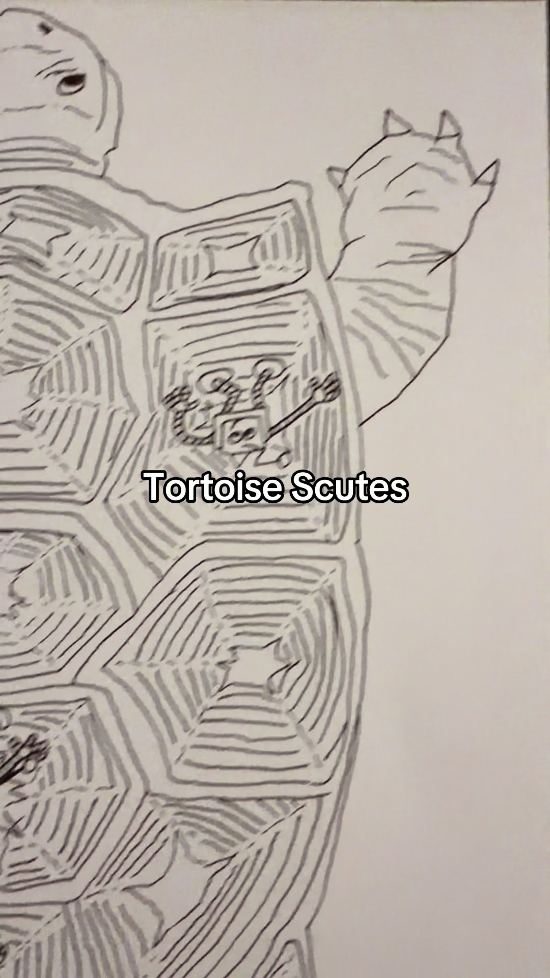 @Frumpysketch