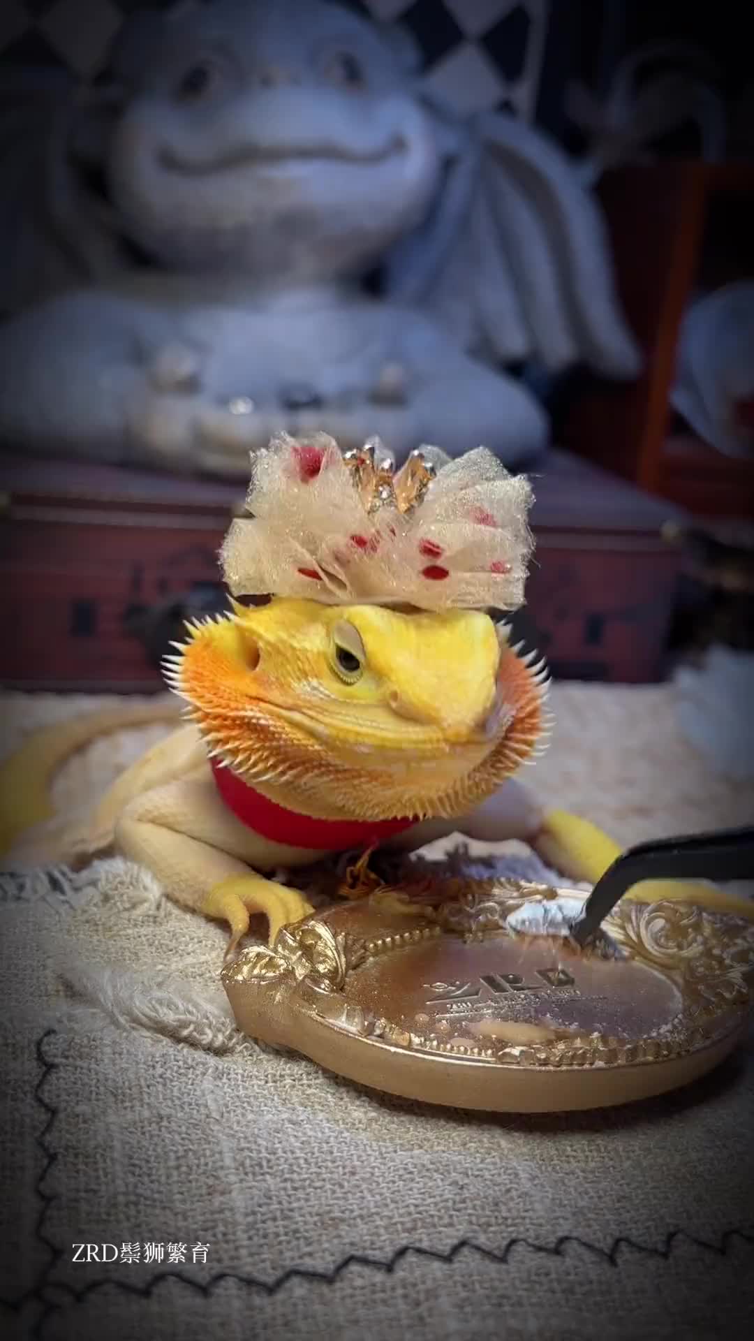 @ReptileHavenUS