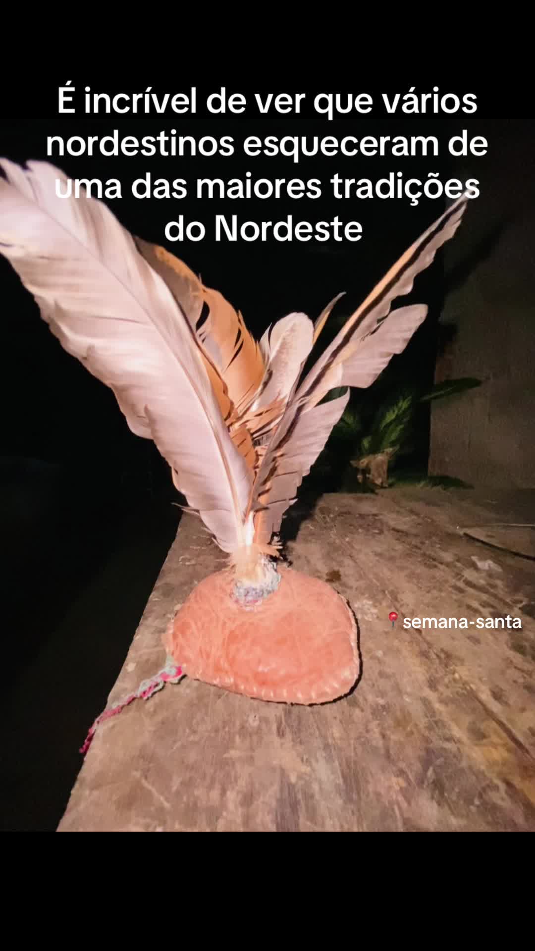 @pp_verdades