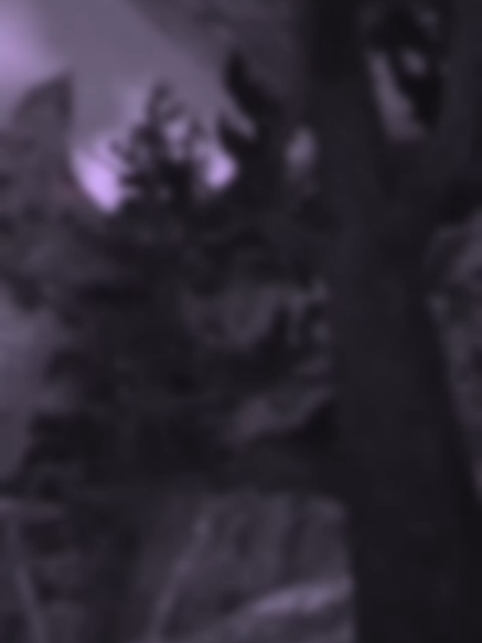 @*ੈ✩‧₊˚༺-𝐥𝐮𝐦𝐚-༻*ੈ✩‧₊˚