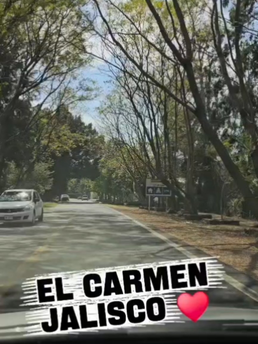 @alexjando1
