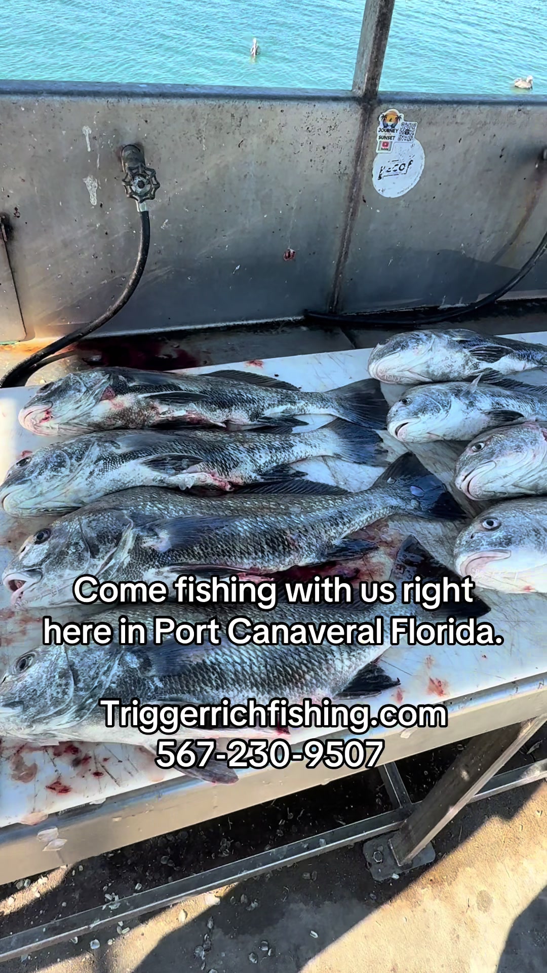 @Trigger Rich Fishing Charters
