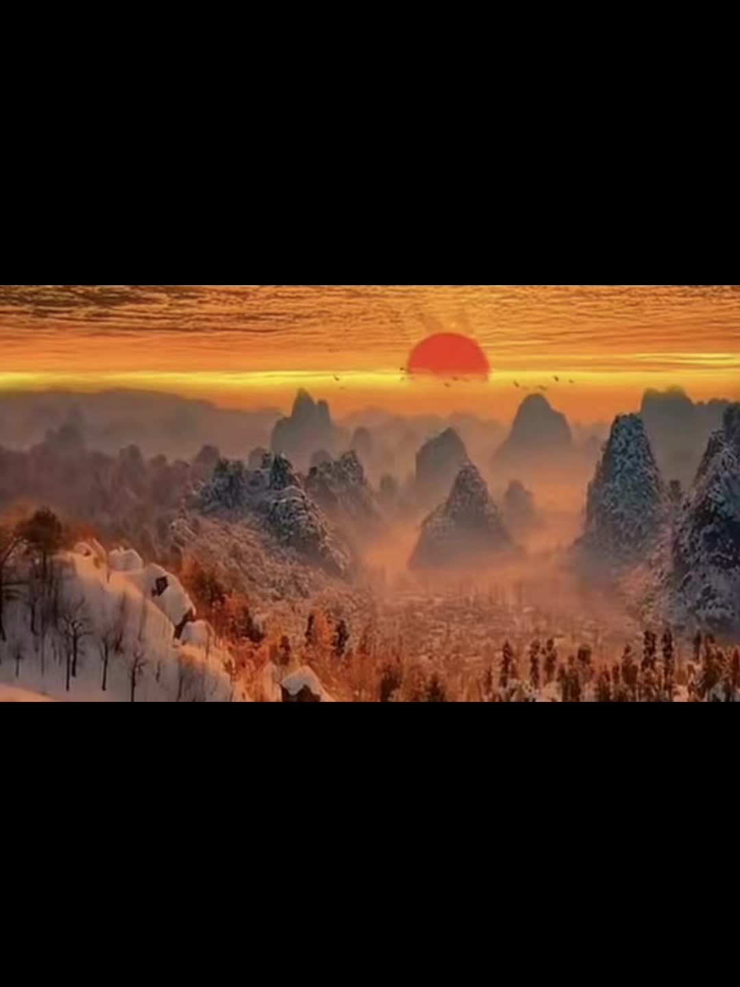 @phoebeperkins659