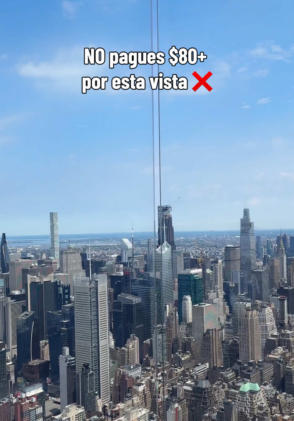 @eduardohasel