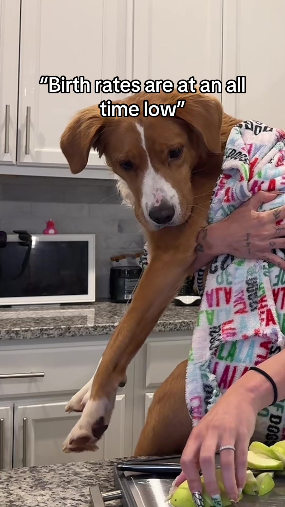@My Dog&rsquo;s Dope