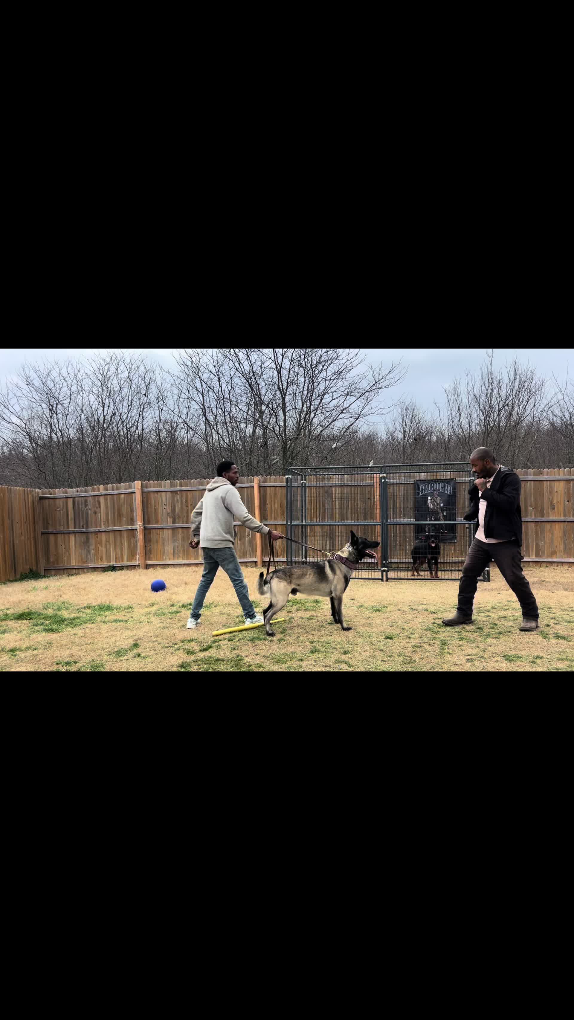 @HardBody K9 Training
