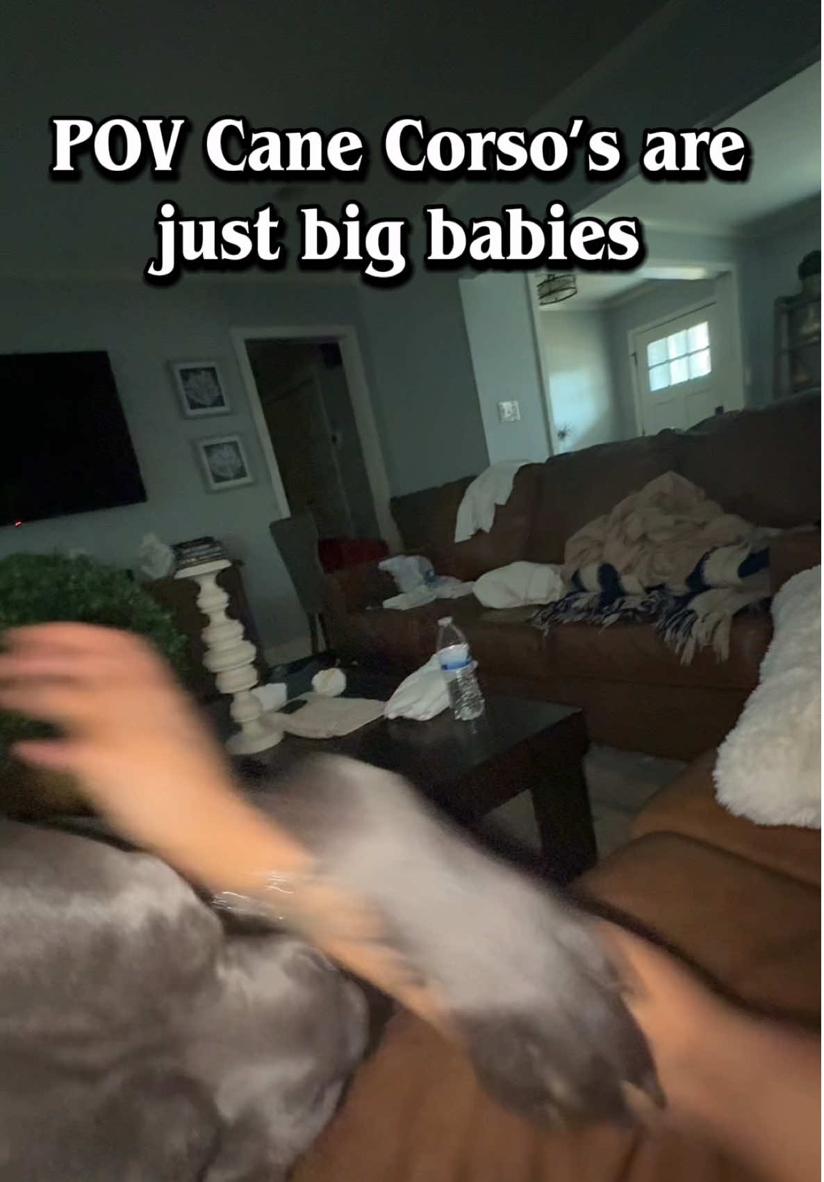 @Unfiltered Content