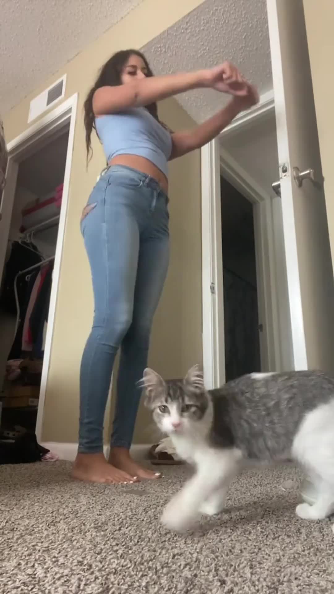 @🌊WaveRiderJade