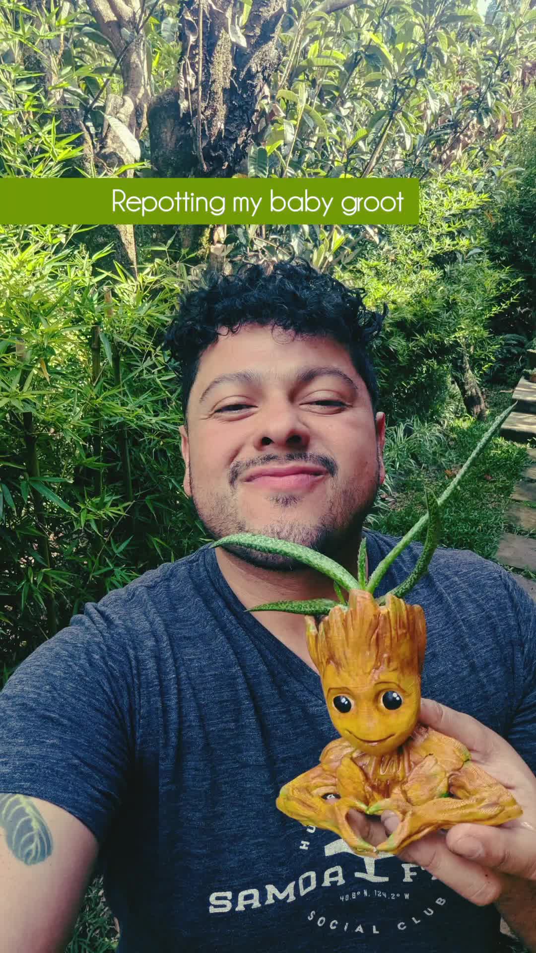 @Talking To My Houseplants