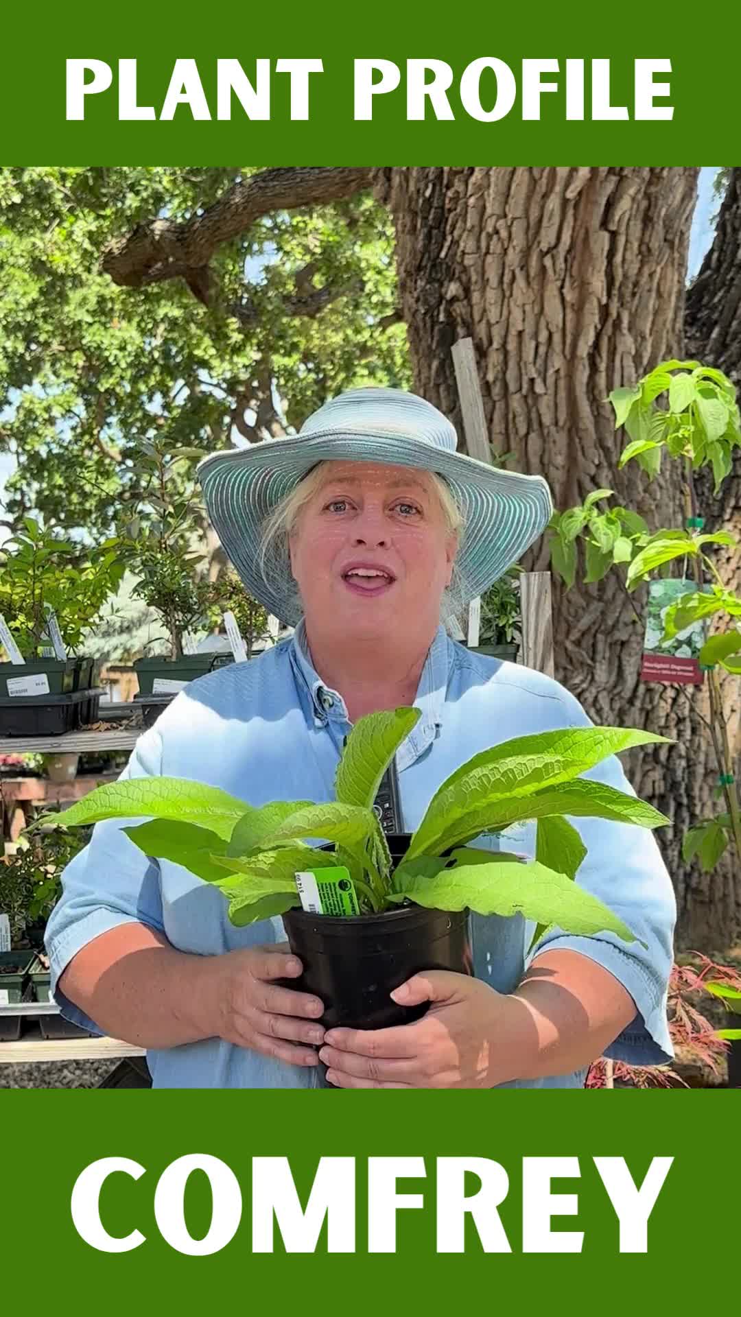 @Alden Lane Nursery