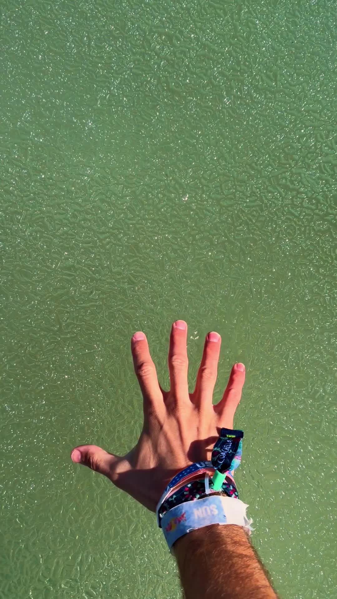 @mega