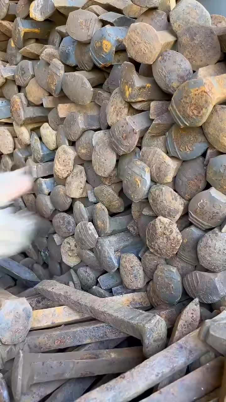 @wild_animal123