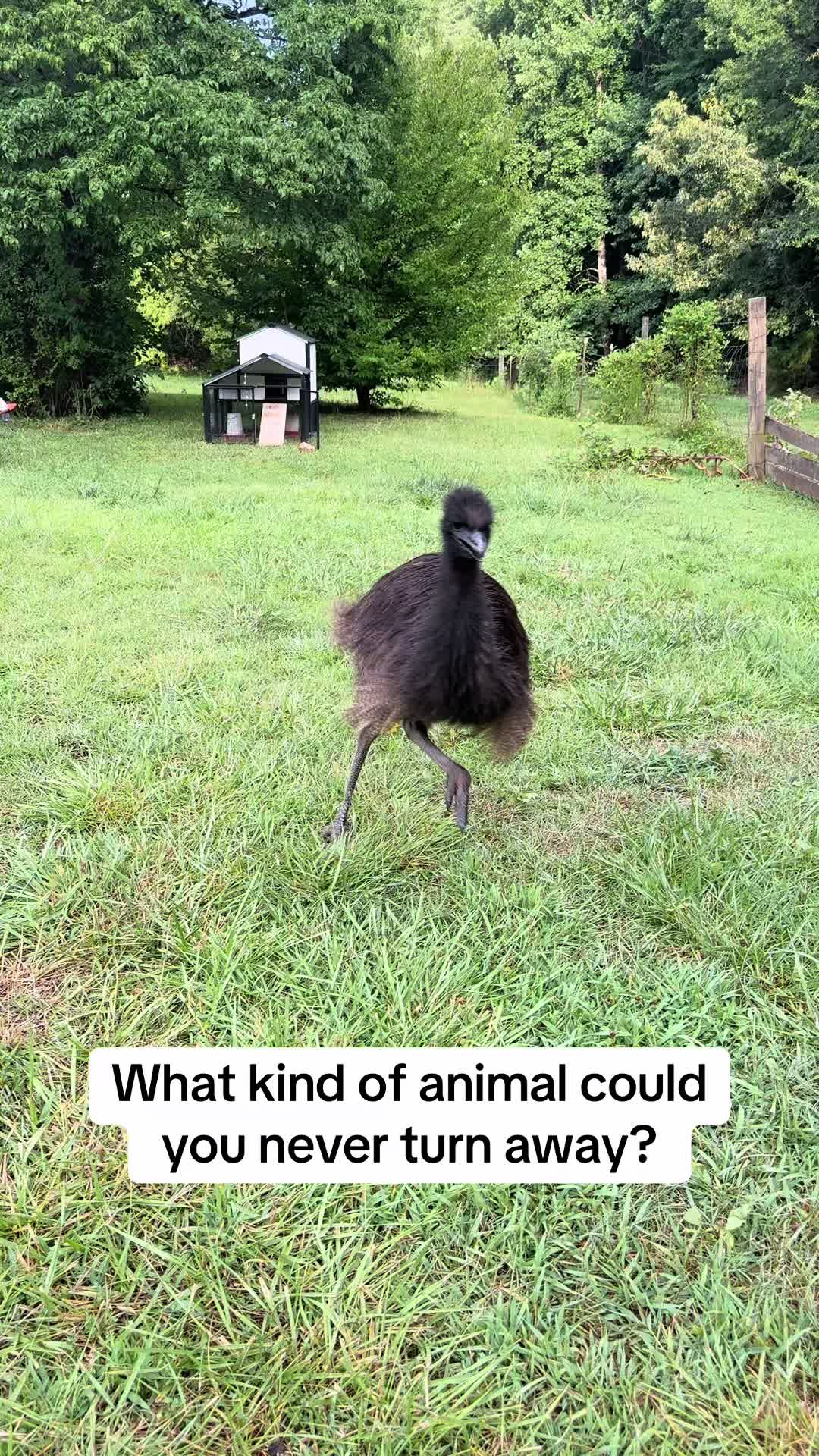 @the_suttles